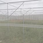 Agricultural Insect Net House Lightweight Regulating The Microclimate