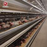 Battery Layer Eggs Chicken Cages H Type Hens Cold Dipped 7Tiers for sale