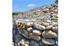 China Hot Dip Galvanized Gabion Box Wire Fencing Mesh 2.5mm supplier