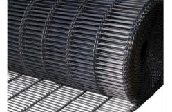China Cleaning Blueberry 304 Flat Flex Wire Belt Rustproof And Durable supplier