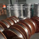 Stainless Steel Coil Tubing ASTM A269 TP304L TP316L TP316Ti