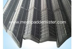 China 316L Wire Mesh Demister supplier