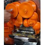 Fruit Extracting Orange Juicer  Machine / Lemon Juicing Machine for sale