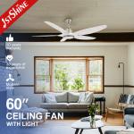 Decorative 60 Inches Plastic 5 Blades Ceiling Fan With 5 Speed Remote Control for sale