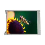 TX38D81VC1CAA 15.0 inch 1024*768 LCD Screen Panel For Laptop for sale