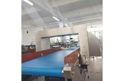 China High Speed Check Weigher Metal Detector and Dynamic Check Weigher supplier