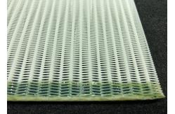 China Spiral Polyester Mesh Belt For Paper Mill Industry supplier