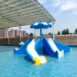 Hotels' Favorite Customizable Water Spray Park with Multiple Exciting Features Octopus Slide for sale