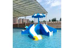 China Hotels' Favorite Customizable Water Spray Park with Multiple Exciting Features Octopus Slide supplier