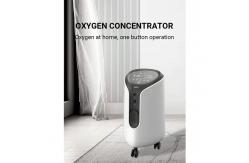 China 10 Liter Portable Oxygen Concentrator supplier