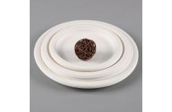 China Customized Disposable Paper Plate Round Sugarcane Pulp Paper Plate for Birthday Cake supplier