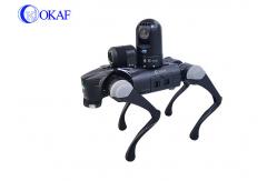 China Intelligence HD AI Camera Security Quadruped Robot Dog supplier