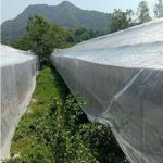 40 Mesh Fine Garden Netting For Farms And Agricultural