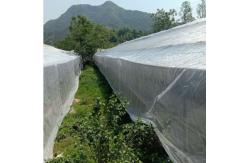China 40 Mesh Fine Garden Netting For Farms And Agricultural supplier