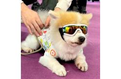 China Dog Goggles Material   Small  Medium Pets UV Protection Wind and Sand Resistance supplier