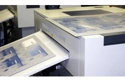 China Single Layer Ctcp UV CTP Plate Conventional Convenient For Offset Printing supplier