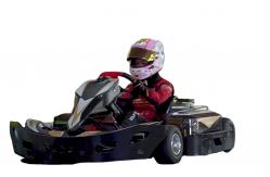 China 48V Adult Remote Control Go Kart supplier