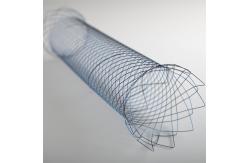 China Medical TTS Esophageal Stent With Delivery System with CE and ISO certificate supplier