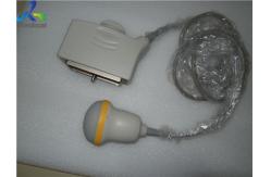 China PVT-675MV 3D Ultrasound Transducer Convex Array Clinic Diagnostic supplier