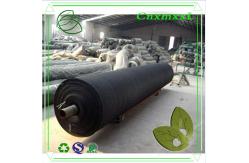 China 80% shading rate farm sun shade net for plant in low price supplier