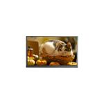 N140BGE-P23 14.0 inch 60Hz 262K LCD Panel Display Screen for sale