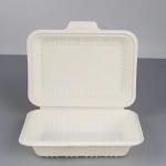 900ml Takeaway Food Corn Starch Box Disposable Cutlery Clamshell Biodegradable for sale