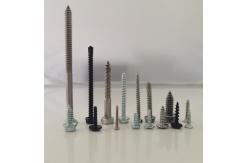 China Self Drilling Screws Self Tapping Screw Wood Screw supplier