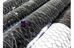 China Galvanised Hexagonal Chicken Wire Netting For Plastering And Poultry 1 supplier