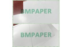 China 250g Excellent Printability Light Coated Paper For B2B Purchases supplier