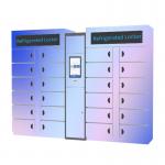 Winnsen Cabinet Vegetable Refrigerated Locker Electronic Storage Smart Lockers for sale