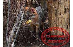 China Hand Woven Stainless Steel Cable Netting Wire Mesh Security For Zoo supplier