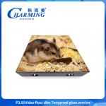 Led Video Dance Floor For Concert Stage 3.91mm High-definition display for wedding club hotel for sale