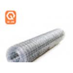 2X2 Openning Electro Galvanized Welded Wire Mesh Grid for sale
