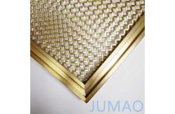 China Custom Mild Steel Cabinet Mesh Inserts Gold Galvanized Surface supplier