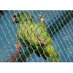 Ferruled Stainless Steel Bird Aviary Wire Mesh Netting for sale