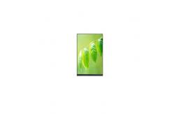 China P080DDD-AB4 8.0 inch 800*1280 350 cd/m2 LCD Panel Display supplier