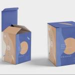 Custom Electronics Packaging Boxes Recyclable Corrugated Paper Boxes With Logo for sale