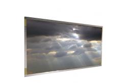China G420XW02 V0 LCD Display Module LCD Screen Panel Antiglare Surface supplier