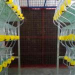 China 5 Tiers And 6 Tier Quail Battery Cages Automatic Self Cleaning for sale