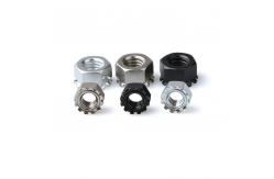 China Stainless Steel  K Nut Kep Nut K Nuts With Toothed Washer supplier