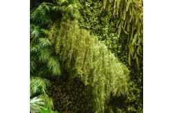 China PE Leaf Anti Aging Vertical Greening Decorative For Landscaping supplier