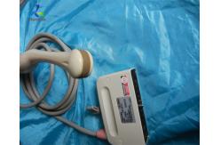 China PVM-621VT Transrectal Ultrasound Probe 4d Diagnostic Equipment supplier