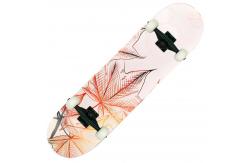 China Low Noise Carbon Steel Bearings Skateboard Heat Transfer Printing supplier