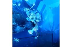 China Customization Multimedia 5 Fold Large Screen Holographic Hanging Glass Cinema supplier