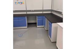 China Modern Laboratory Wall Bench The Ultimate Solution for Testing Needs supplier