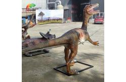 China Personalized Customization Fiberglass Animatronic Replica Realistic  Dinosaur Model supplier