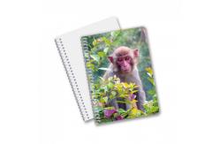 China Hot Selling School Stationery 3D Lenticular Printing Diary Notebook for Souvenir supplier