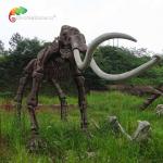 weather reistance Real Size Replica Animal Skeletons Mammuthus Model for sale