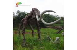 China weather reistance Real Size Replica Animal Skeletons Mammuthus Model supplier