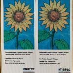 Blank Inkjet Printed Polyester Canvas Roll 24 36 With Eco Solvent Inks